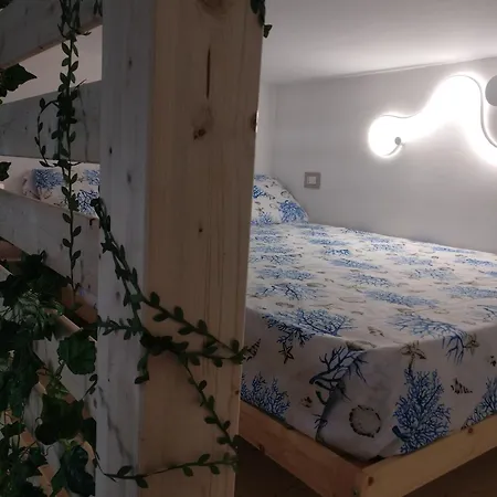 Rosa *